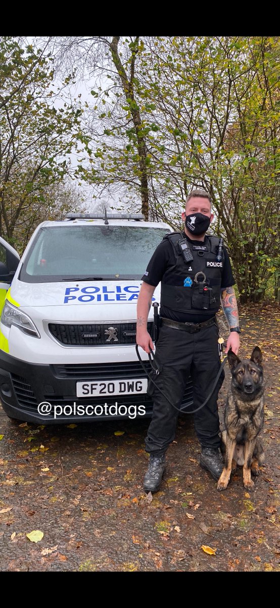 PSOSDogs's tweet photo. After a housebreaking in the Govan area of Glasgow, #PDRudi was called in to help. Using his nose he was able to track the suspect right to his hiding place. #OneForTheJail #NoHidingPlaceIsSafe #KeepingPeopleSafe #TrackingDemon #PoliceDogs ๐พ๐ด๓ ง๓ ข๓ ณ๓ ฃ๓ ด๓ ฟ https://t.co/kAKIHHFPjV