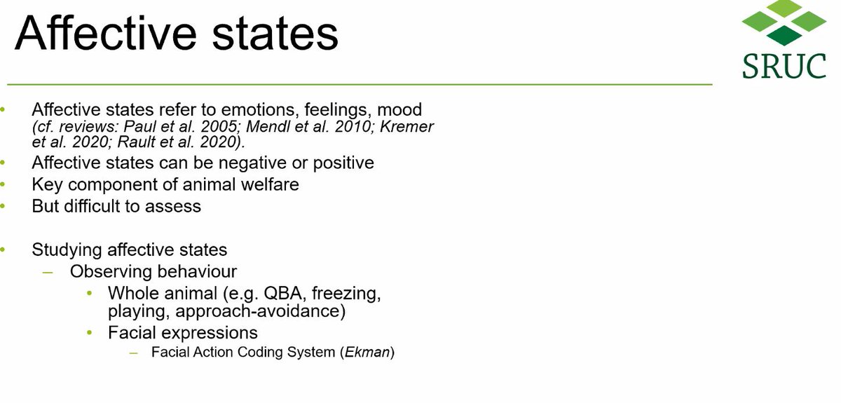 AffectiveEquine's tweet photo. My favourite topic - animal affective state - being discussed at today's #PLFworkshop specifically in relation to recognising stress and negative emotions in pigs to allow earlier interventions by farmers @AnimalWelfareRN https://t.co/SfV1uvyWWZ