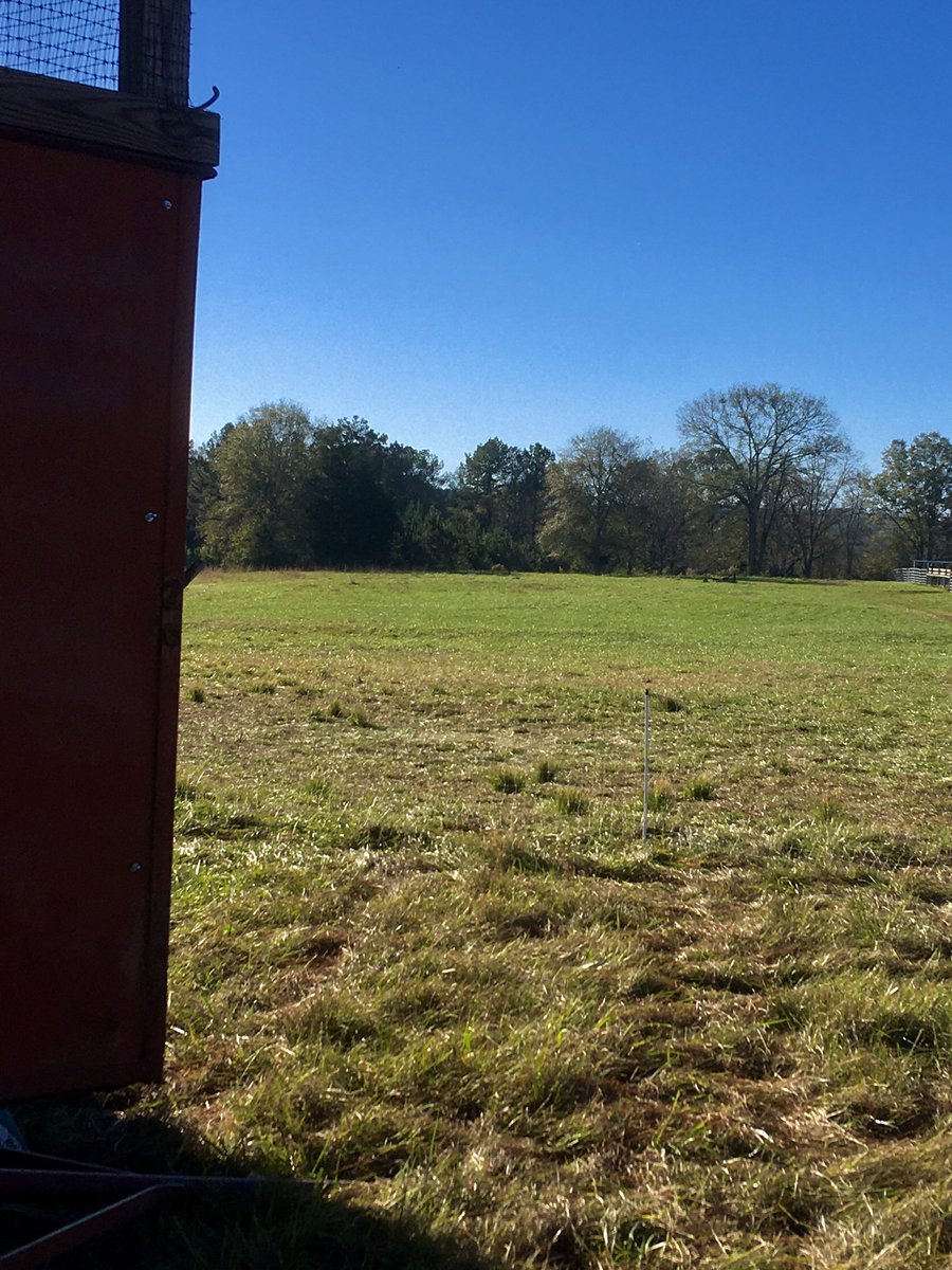 Greenway Farms Of Ga Greenwayfarms Twitter Greenway Farms Of Ga Greenwayfarms Twitter