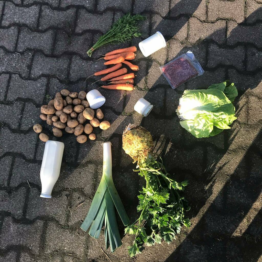 Der heutige Anteil. Es gibt Kartoffeln, Möhren, Sellerie, Porree, Zuckerhut, Feldsalat und Dill. Und dazu unsere Milchprodukte und Hackfleisch.
#mehralsmittelzumleben #solawi #solidarischelandwirtschaft #csa #communitysupportedagriculture #biogemüse #nac… instagr.am/p/CH0JG5qARDQ/