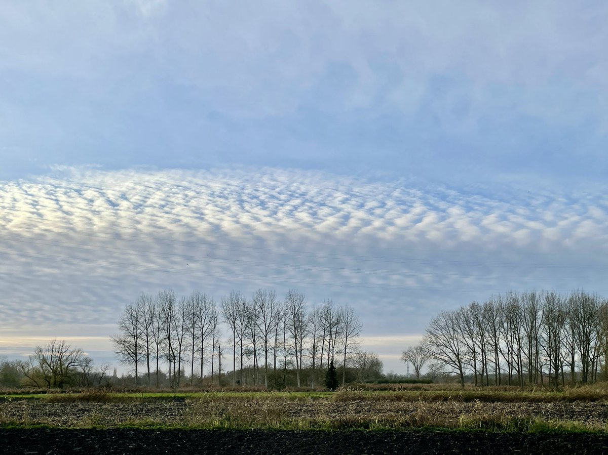 Marc Van Wezemael tweet media