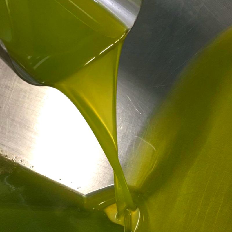 Hemos finalizado la elaboración de nuestro #AOVE Ecológico Cosecha 2020. Ahora descansa en nuestra #bodega del #Priorat. 
#Aceitunas de vuelo cosechadas a mano en su punto óptimo de maduración y molturadas inmediatamente para mantener intactas sus propiedades naturales.