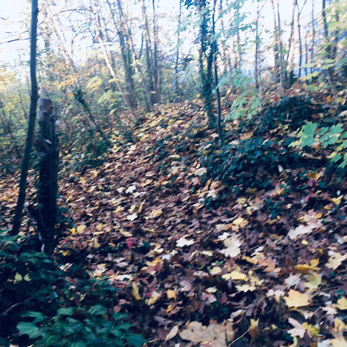 MrMStanger's tweet photo. Check out the hard work the students did today in ALO (Additional Learning Opportunities). Taking passions and exploring them in different ways. Today’s photography challenge was taking pictures representing warm and/or cold. #isdpride #weareisd #myp https://t.co/7ilGXzU7vr