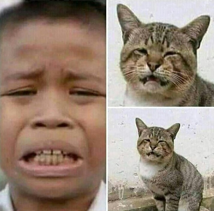 [ t r i w ] tweet media