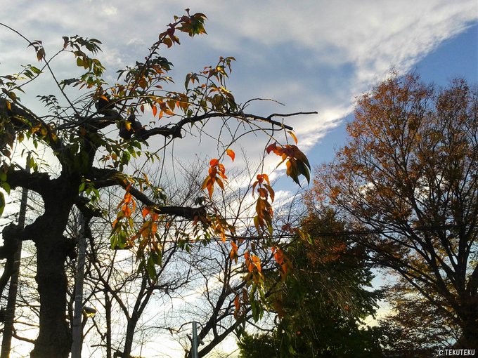 雲のtwitterイラスト作品