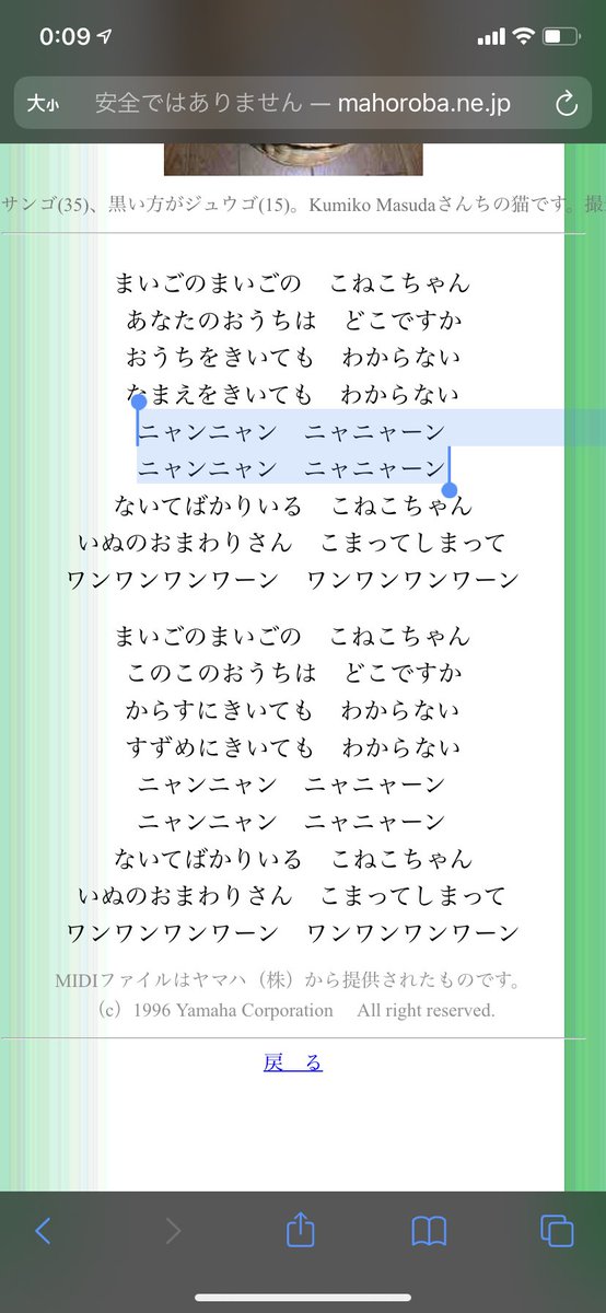 26 ここで家の住所と名前言ってるだろ 無能犬が 猫のせいにすんな って3歳の時思ってた