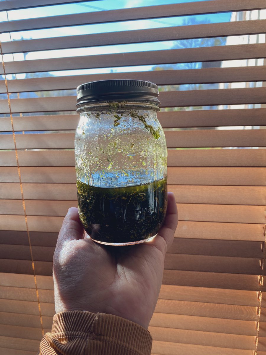 Overall mugwort is a fantastic herb and I am so grateful to be able to work with her . Have you used mugwort? What are your experiences? 10/10