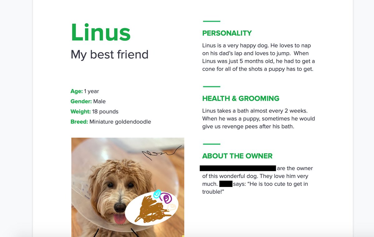 My 8yo has discovered Google Docs, and now instead of playing video games she is obsessed with word-processing and experimenting with different templates and making things like a resumé for our dog.