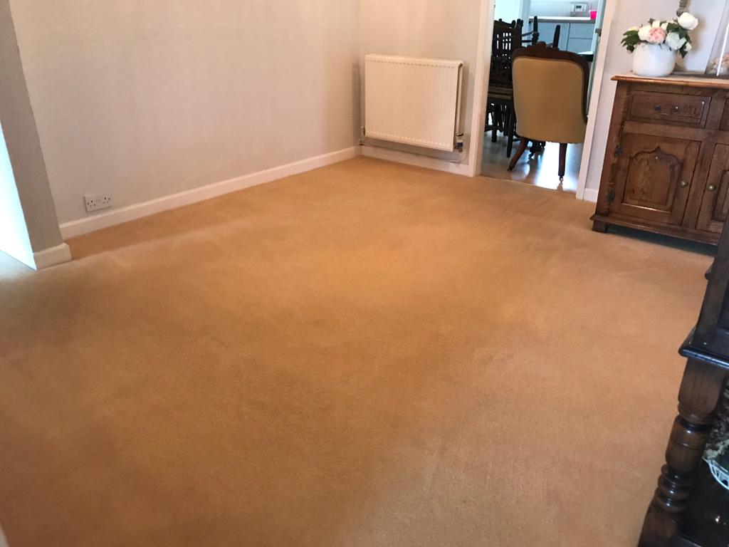 Before and after pictures, blue ink stain on gold coloured carpet.  
Over 20 years of experience in carpet and upholstery cleaning.
Contact enquiries@spicknspanservices.co.uk

#carpet #cleaningservice #cleaning