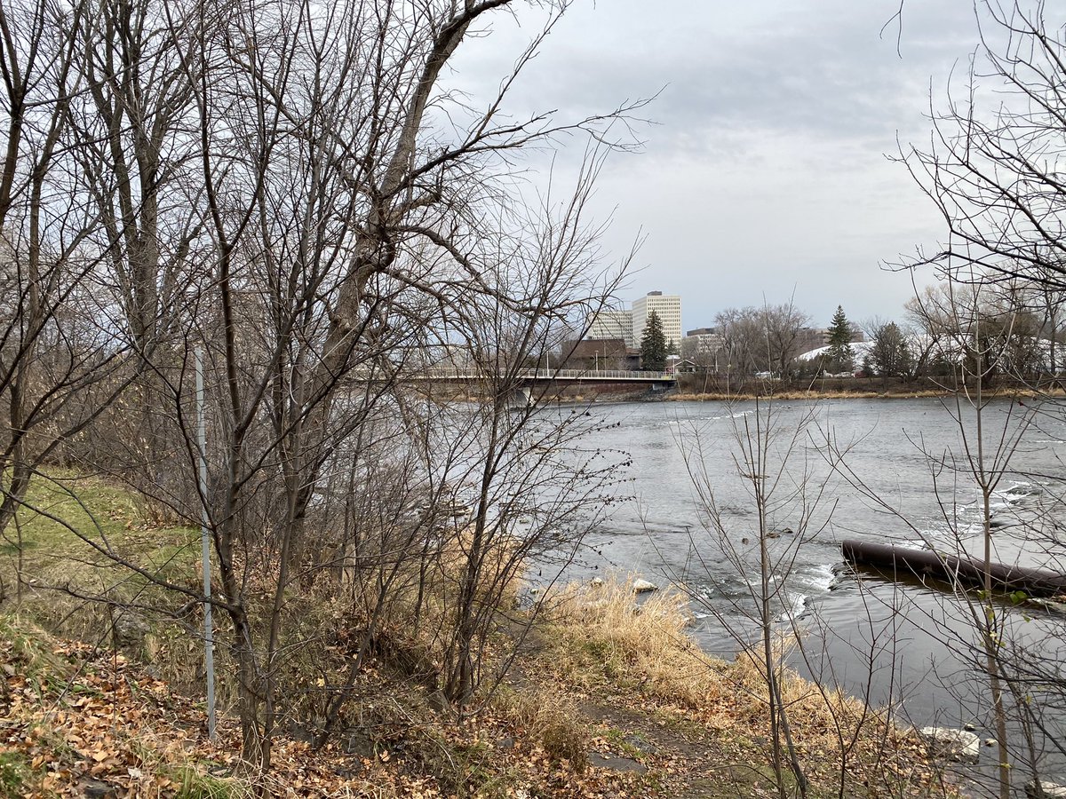 greystone75's tweet photo. Pictures from my run this morning. Easy run feels great. #runningismylife #longtimerunner https://t.co/9yOycYkGDP