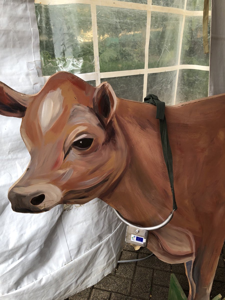 HagemannKatrin's tweet photo. Congratulations @icipe on 50 years of innovative insect research. @EUinKenya has proudly partnered with ICIPE since the early 90s to combat eg tsetse flies and Fall Army Worm. #insectsforlife https://t.co/ibet4fyseX