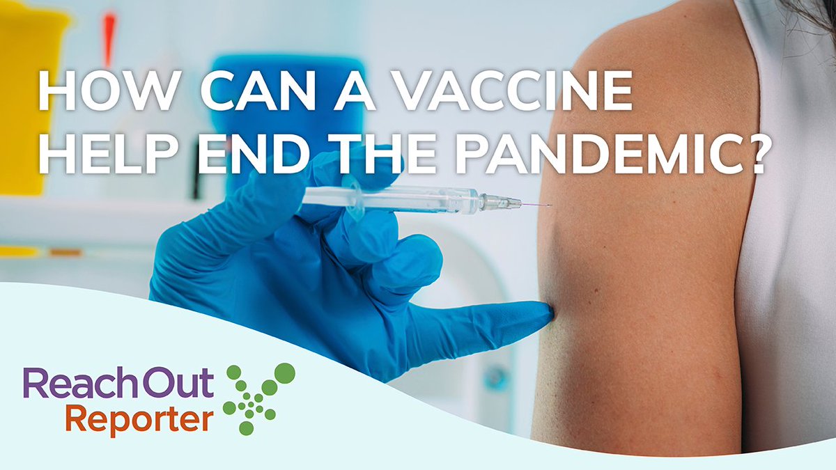 TwigScience's tweet photo. 🦠Learn how vaccines prevent the spread of viruses with this #ReachOutReporter special news update: https://t.co/1JG0b1SpJ1
#SciEd #ScienceNews https://t.co/366l3fyTM9