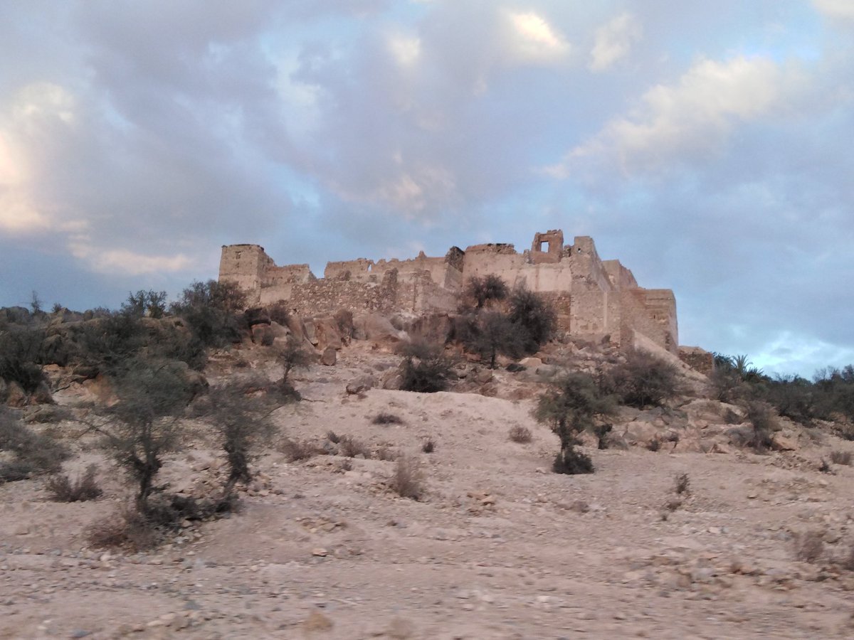 Mohaoumhand's tweet photo. Palmeraie de #Tiout #Taroudant 🌱🌲🕷️🦗💐🦆
واحة #تيوت #تارودانت 🌲🌱🕷️🕷️🦗💐 https://t.co/QRbyiA70xu