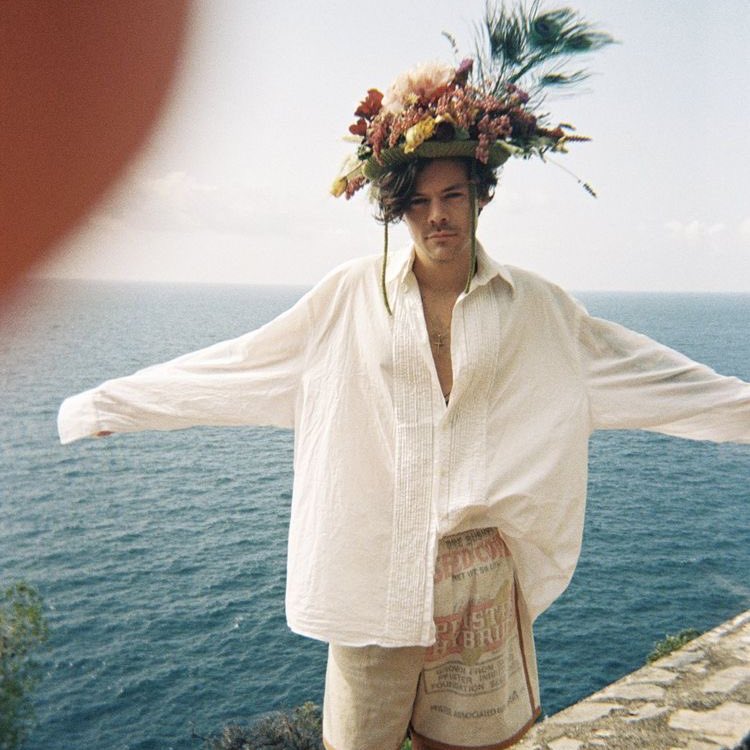 A thread of Harry styles as hedgehogs