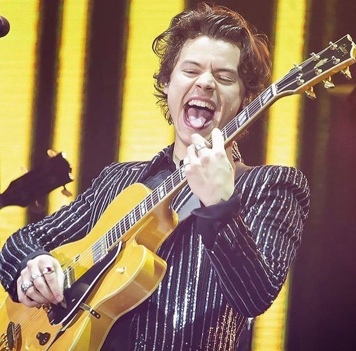 A thread of Harry styles as hedgehogs