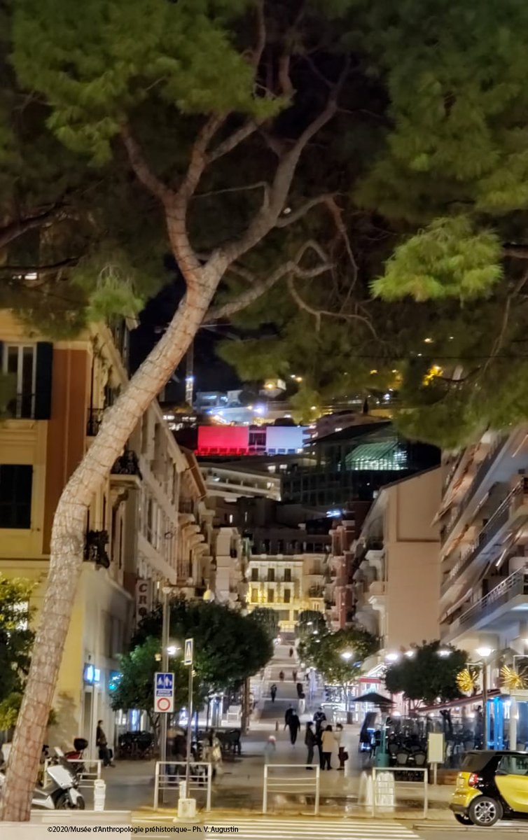 map_monaco's tweet photo. #retour sur le 19 #novembre 
Toute l'équipe du #musée d'#anthropologie #préhistorique de #Monaco vous souhaite à tous une très belle fête ! Viva u Principu e Viva Munegu !
Fête du #Prince Fête #nationale 
Photographie : V. Augustin https://t.co/XfXkkj0tki