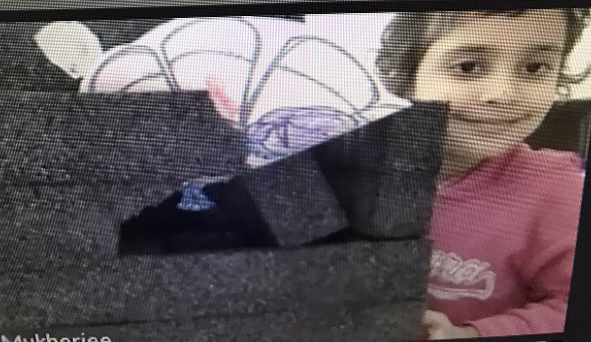 Susan Snel tweet media