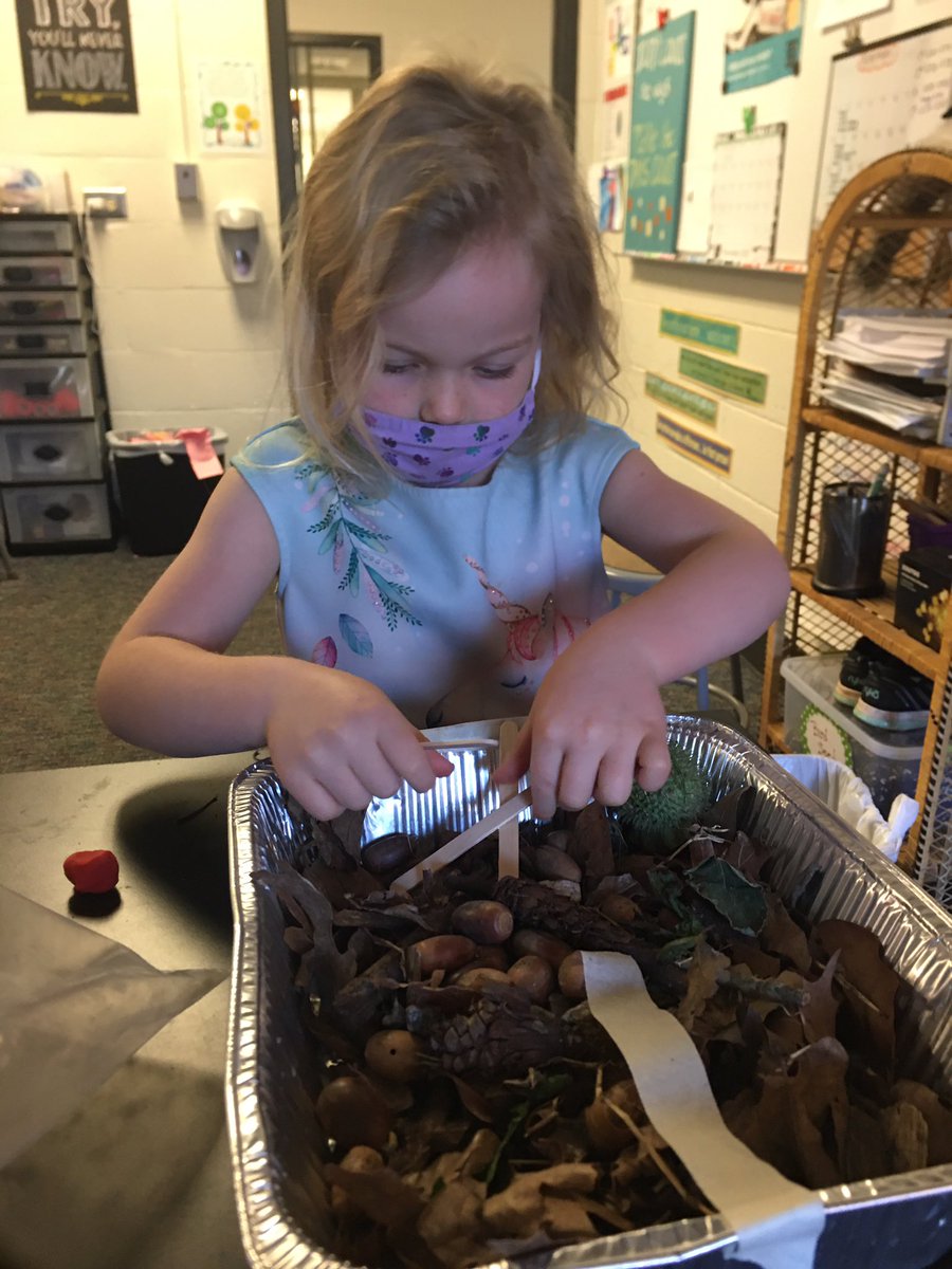 diane_dparr's tweet photo. #runturkeyrun read the book- now creating shelters to protect out Watkinsville turkeys!!.. #engineeringdesignprocess @CFESmustangs https://t.co/UeAnztY3zX