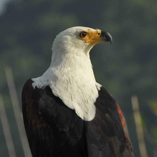 Kevin Watkins (@kevinwa89900518) on Twitter photo 