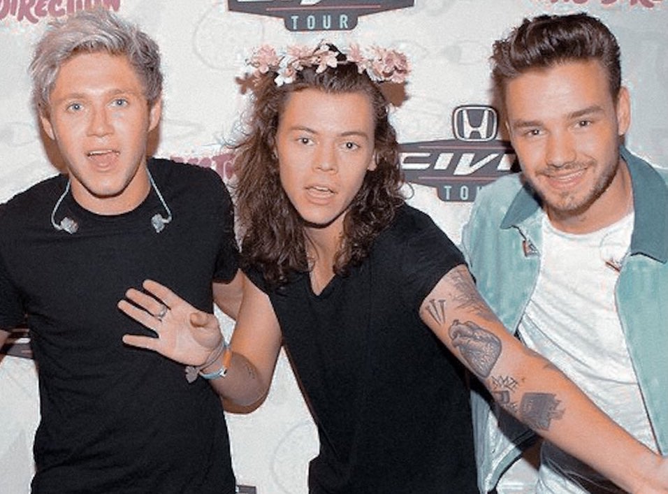 forever_1DHLZLN's tweet photo. *take the picture*
Niall:smile
Liam: smile
Harry:Styles
#OneDirection #LiamPayne #HarryStyles #NiallHoran #OneDirectionMissYou πβ€οΈ #funny https://t.co/gU1WldB25m