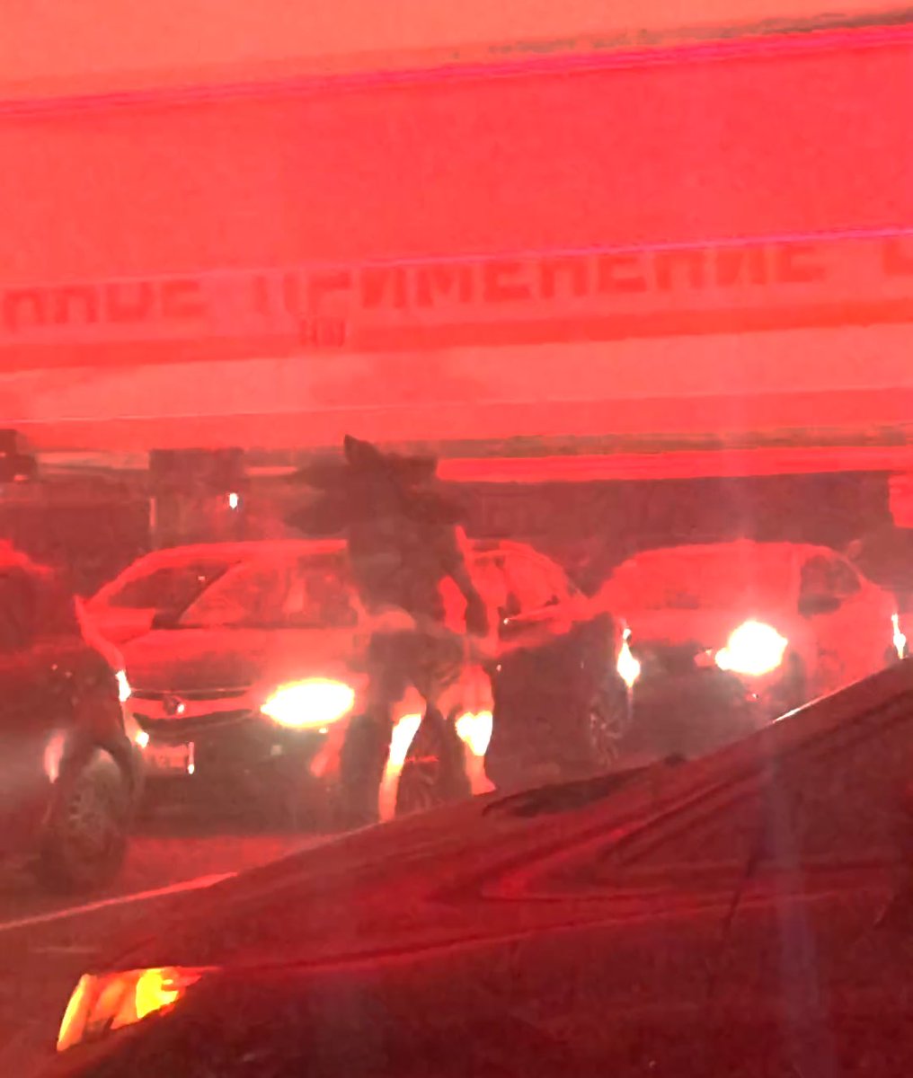 kimscorcher's tweet photo. No idea if there’s any crossover, but I went to the #StrangerThingsDriveInto and posted the video on my Insta story last night! My personal favorite is the bit that’s mostly flashing lights and screaming (screencapped here). 
https://t.co/pOZWzUJkfk https://t.co/HyfkhXapk1