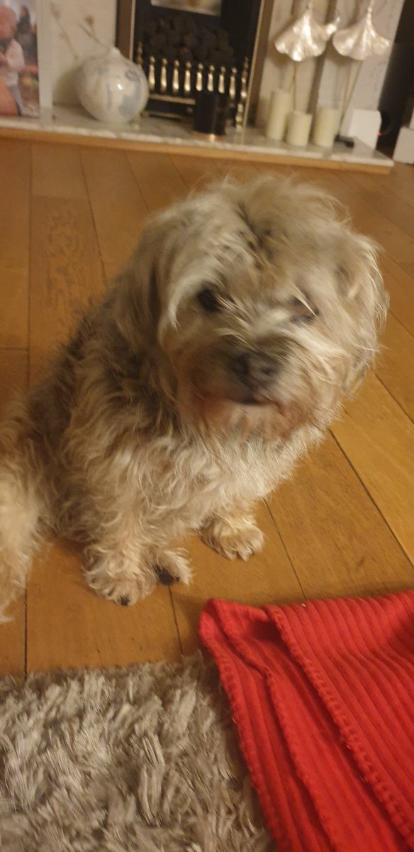 Jan's Sandwich Shop tweet media