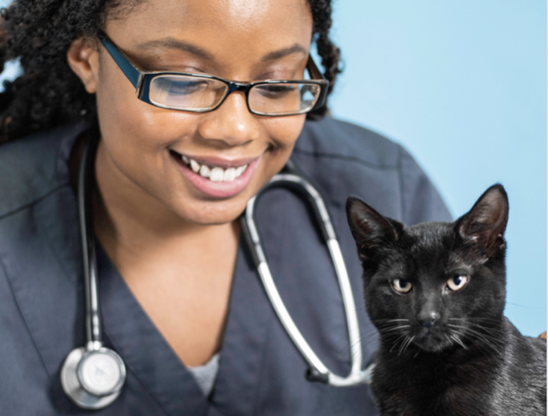 The_GoodVets's tweet photo. Ever wanted to know what a typical day is like for a GoodVets hospital manager?

Deanna, Hospital Manager at GoodVets West Loop, shares fun insight about a day in her life as one of our leaders: https://t.co/nVxG36owpy https://t.co/ClCKd8PbO4