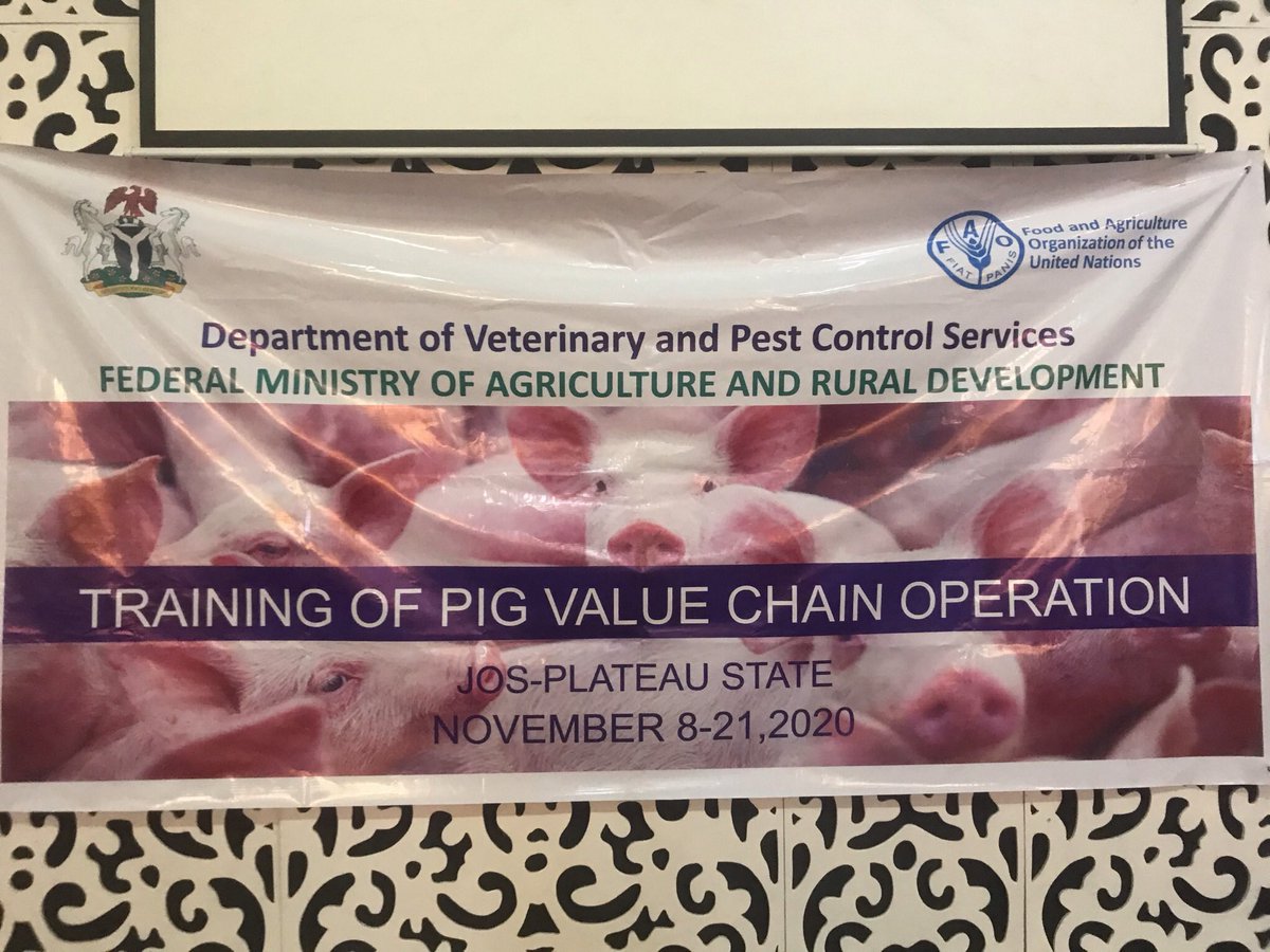 ng_asf's tweet photo. A wonderful initiative with potential benefits towards food security: Training of pig value chain operators in the fight against #ASF in Nigeria. @FAONigeria @FmardNg @cmasembe10 @nvrivom https://t.co/ca2OHg2SzY