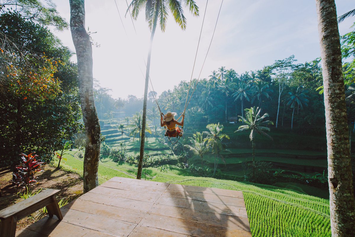 travamigos's tweet photo. Bright blue skies, flowing rice fields...and a swing. This is where we’d rather be right now. 

📍 Bali Rice Fields, Ubud, Bali
💷 Trips start from £65 per day. 

Experience. Shared. https://t.co/aUPMTcAdHi