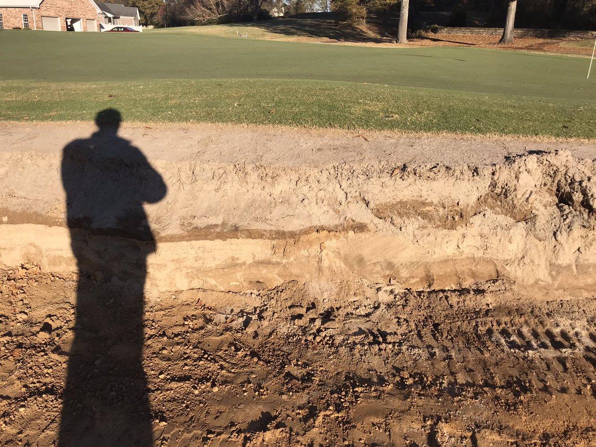 Paul Webb tweet media