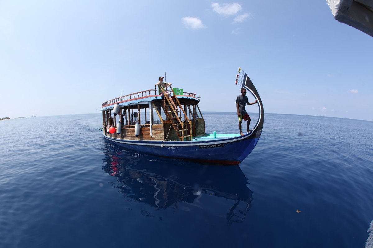 We surveyed the particulate organic matter (POM) of coral reef water columns across the central Maldives atolls (5/n)