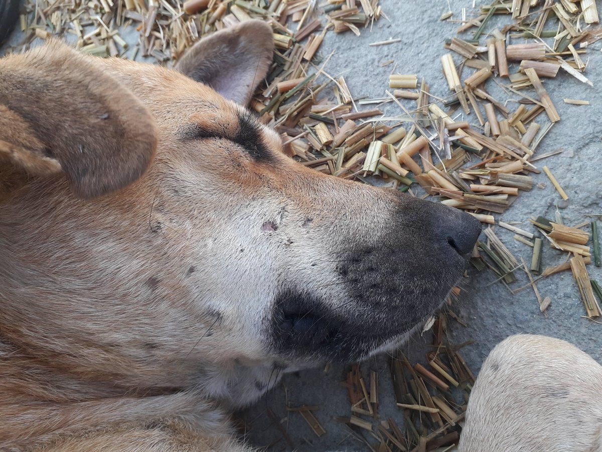 devendhakal1's tweet photo. @PratikshaKafle https://t.co/nHx8dWkFNv