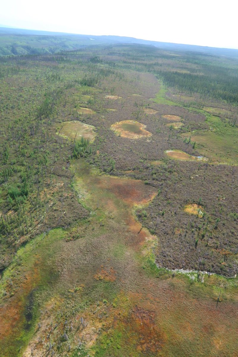 Landing a helicopter in a bog is tricky. The surface is soft often w/ lots of tree snags/debris & open water. The pilot tried to land but got spooked, pulled up & instructed us to get ready for a hot landing. Immediately I felt alienated & nervous, unsure of what to do. 5/