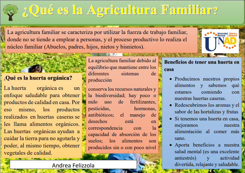 Andrea Felizzola tweet media