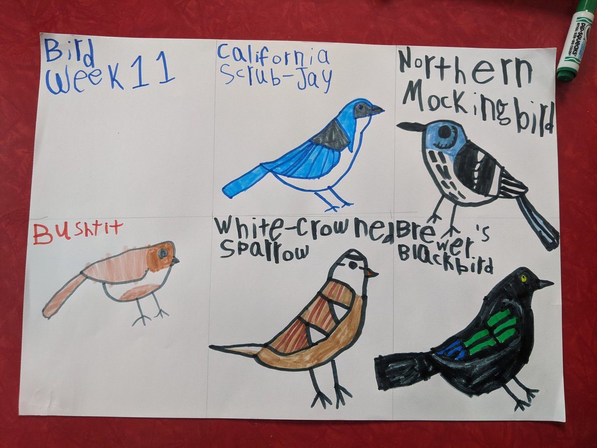 Live every week like it's bird week I guess.