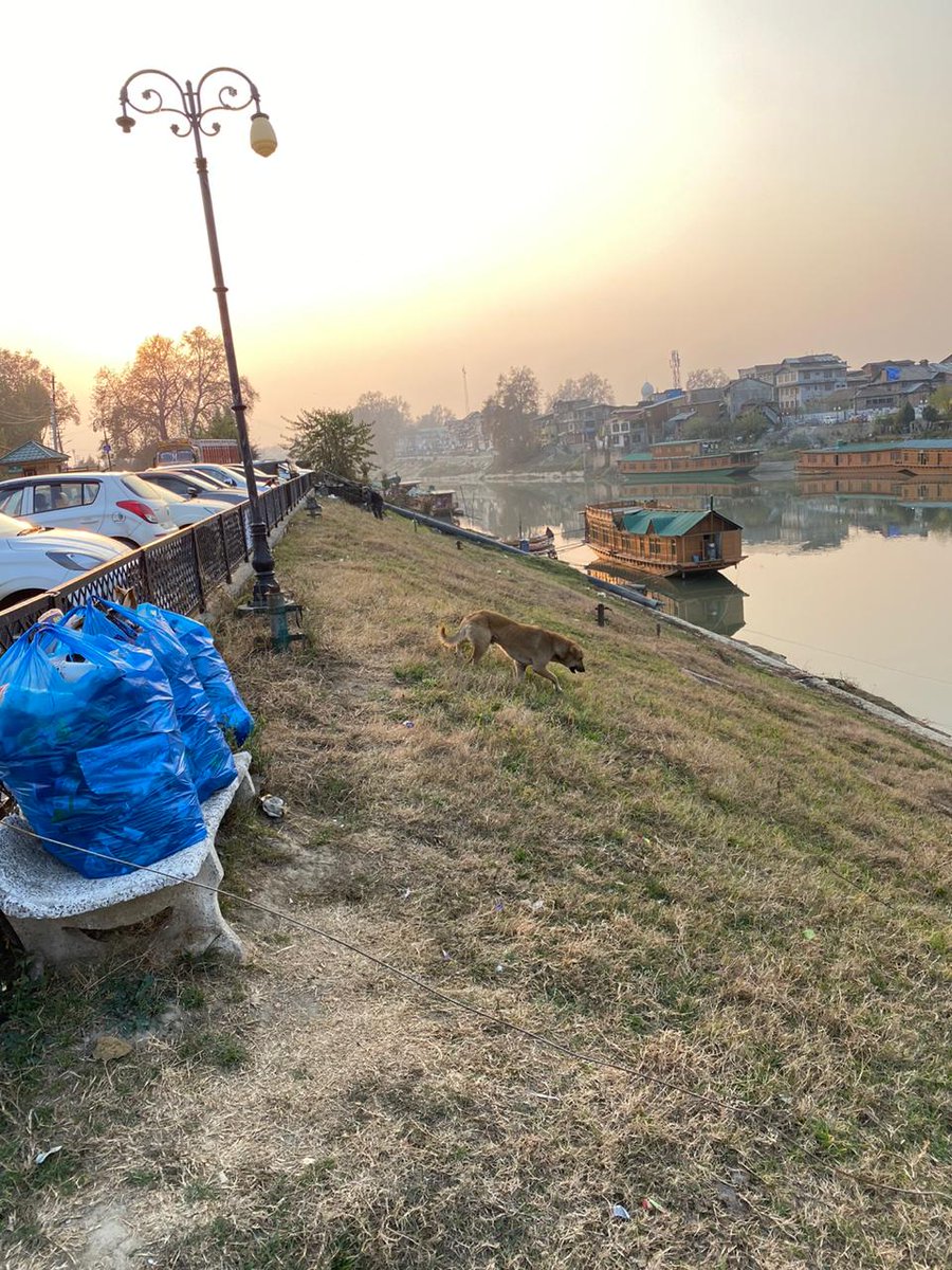 WamiqWani's tweet photo. Today after Friday prayers me and my friend @ZargarNuman volunteered for Jehlum Bank's cleaning drive. It seems like @SMC_Srinagar doesn't exist, not a single dustbins installed on Lal Mandi banks. Houseboat people are suffering too.
#wewantchange https://t.co/4hOVfsxIDq