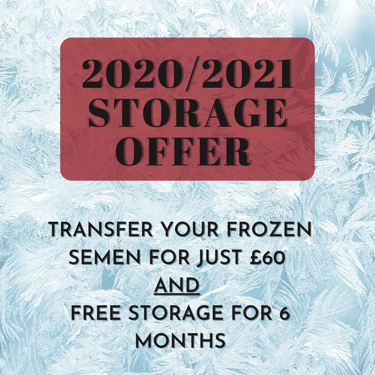 ❄ Frozen Semen Storage Winter Offer ❄ - mailchi.mp/c9d8e192207a/f…