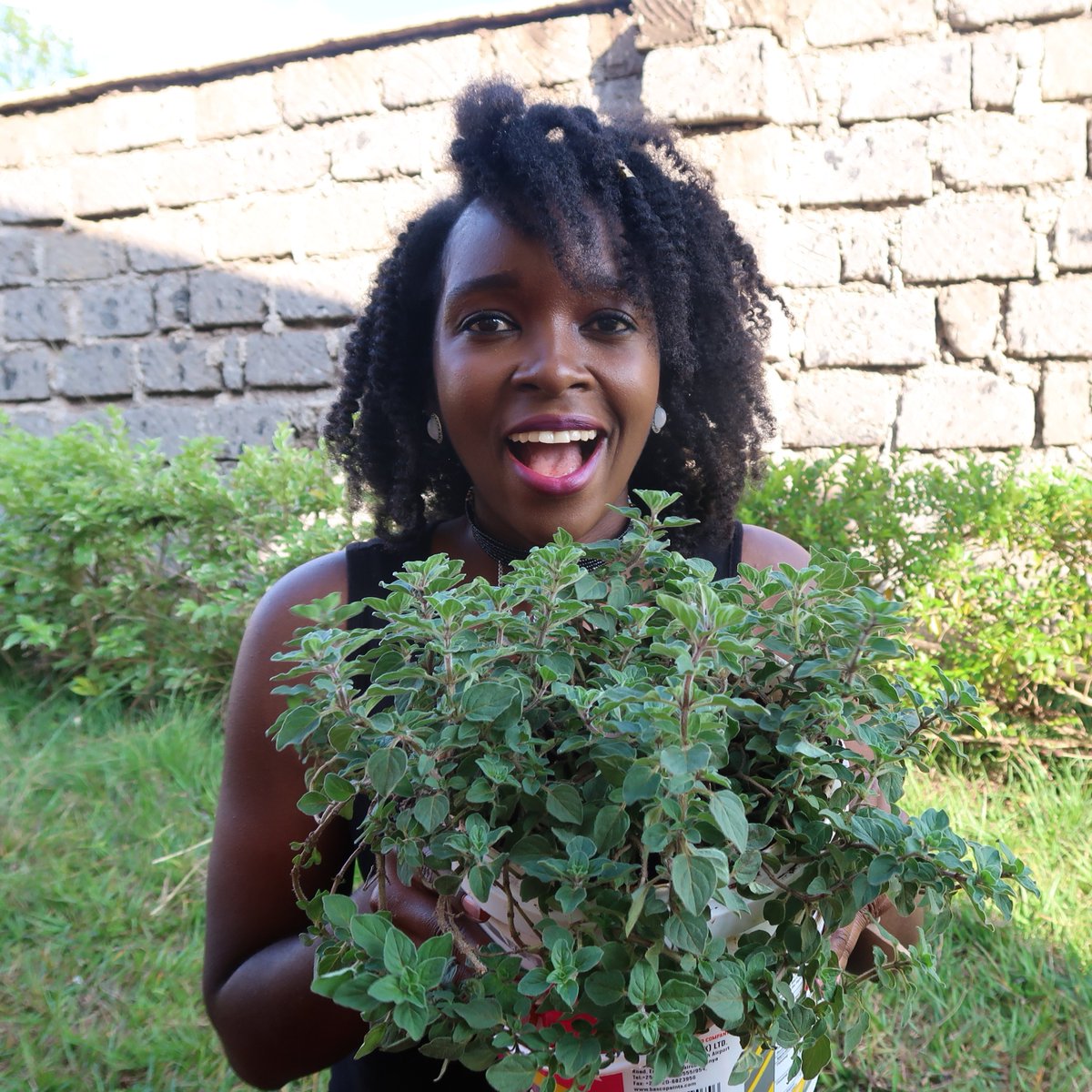 In a bid to slow down from the hamster wheel that is urban life, I forced myself to take on a hobby that did not bring me money but brought me extreme joy, forced me to switch off and reminded me of my childhood. I had to commit to doing it for an hour everyday. How it's going..