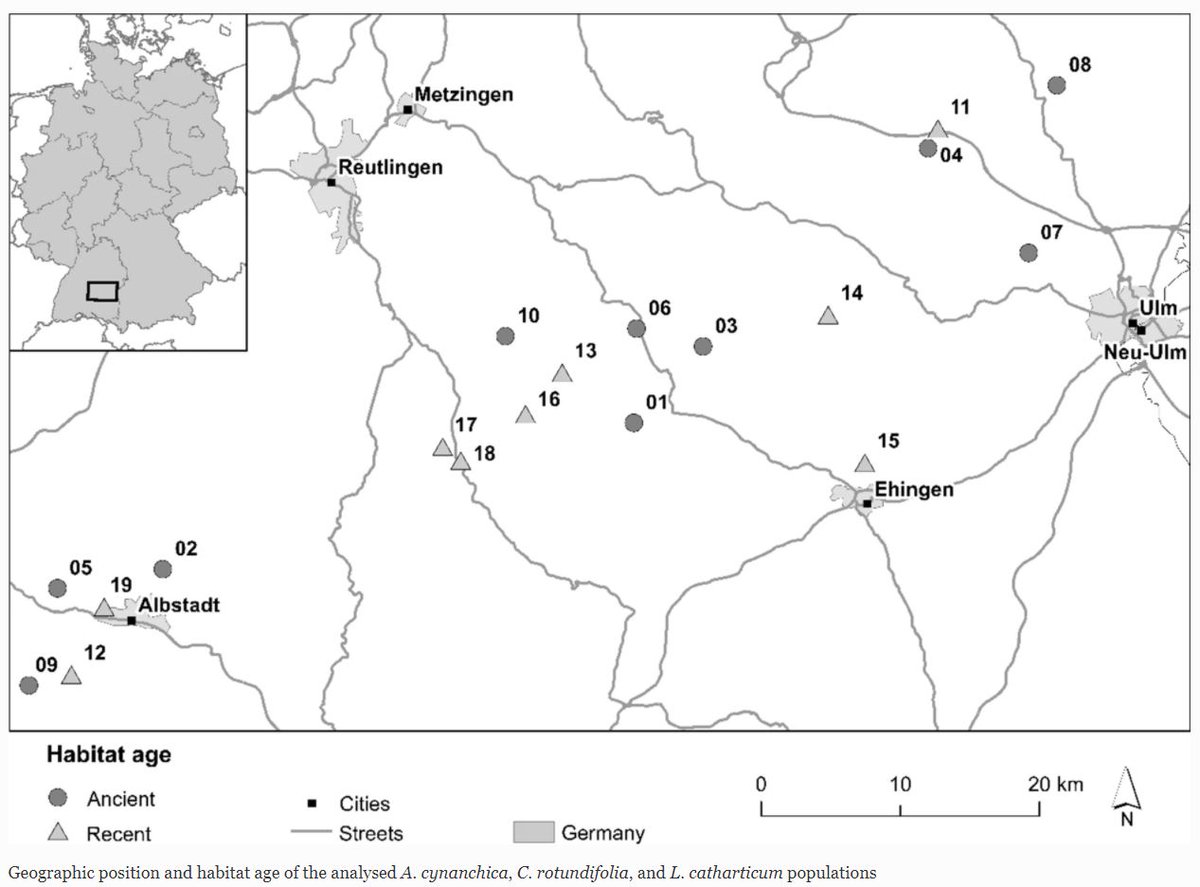 SpringerPlants's tweet photo. Surrounding #landscapestructures, rather than #habitatage, drive #geneticvariation of typical #calcareousgrassland plant species 🌲https://t.co/WPGNsvsSER🌲 #SNLAND #SpringerNature #LandscapeEcology #openaccess #landscapegenetics #Asperulacynanchica @ElliPagel @ialeGermany https://t.co/89jUDGwx86