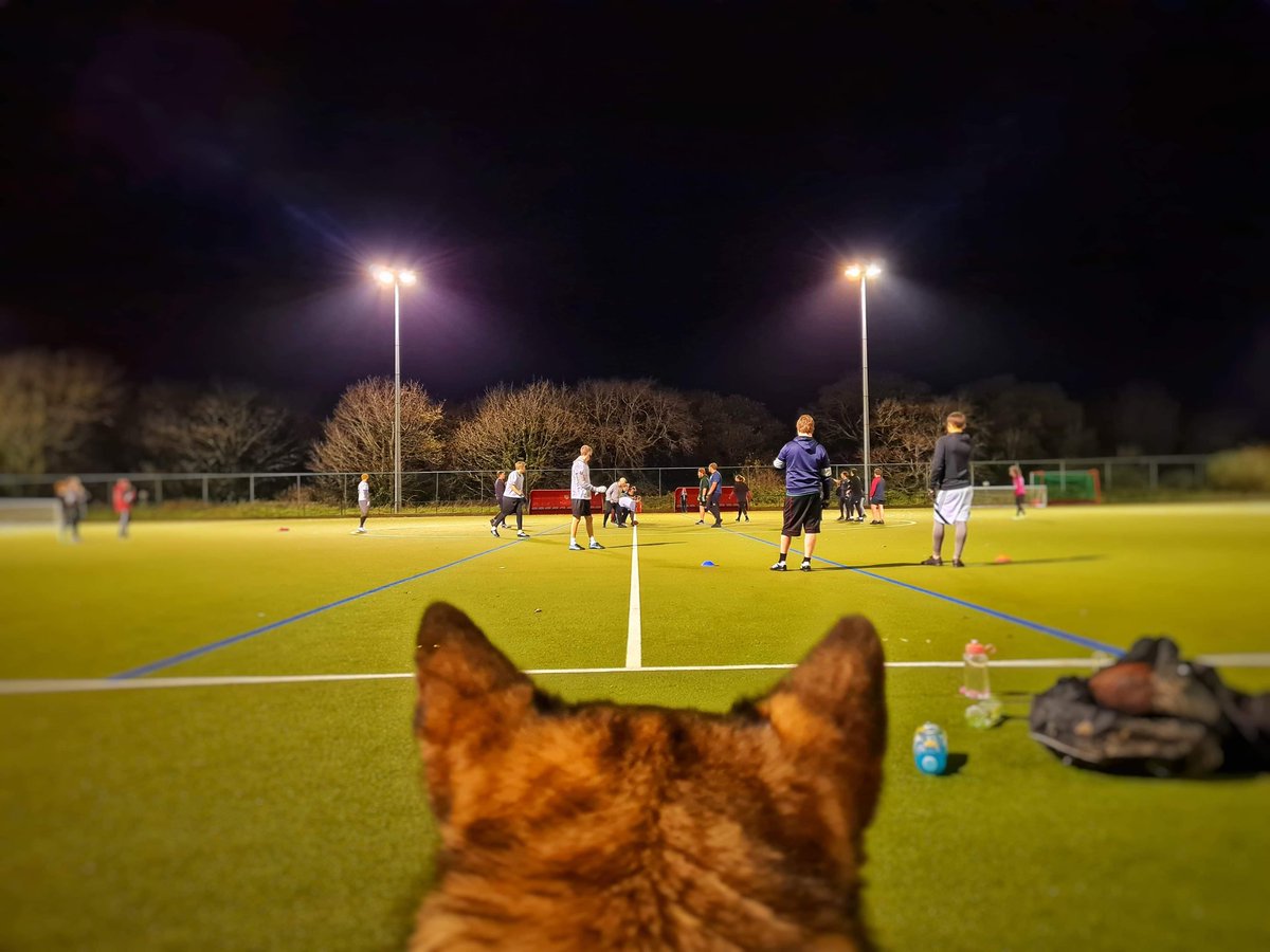 Our own MudDog mascot enjoyed watching Thursday's session.

Fe wnaeth ein masgot MudDog ein hunain fwynhau gwylio’r sesiwn dydd Iau.

#americanfootball
#uniball
#bleedgreenandgold
#doggo