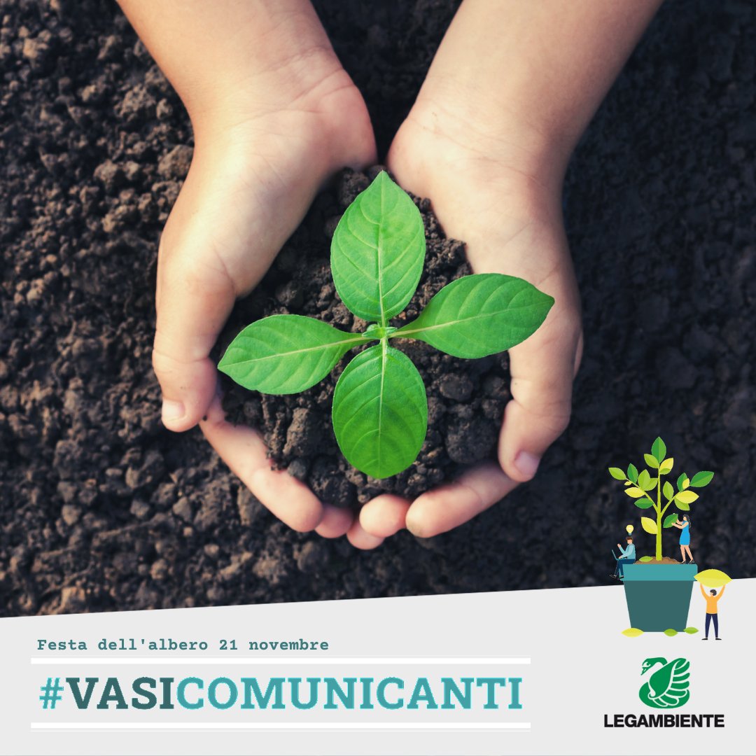 #21novembre Oggi è la #FestaDellAlbero
Pronti a piantare il vostro #albero🌳 e a diventare uno dei nostri #vasicomunicanti?🤝

Partecipa anche tu: pianta il tuo seme, un piccolo albero, fai un gesto per celebrare la natura!
C'è anche un regalo🎁 per te 👉 attivati.legambiente.it/page/70772/pet…