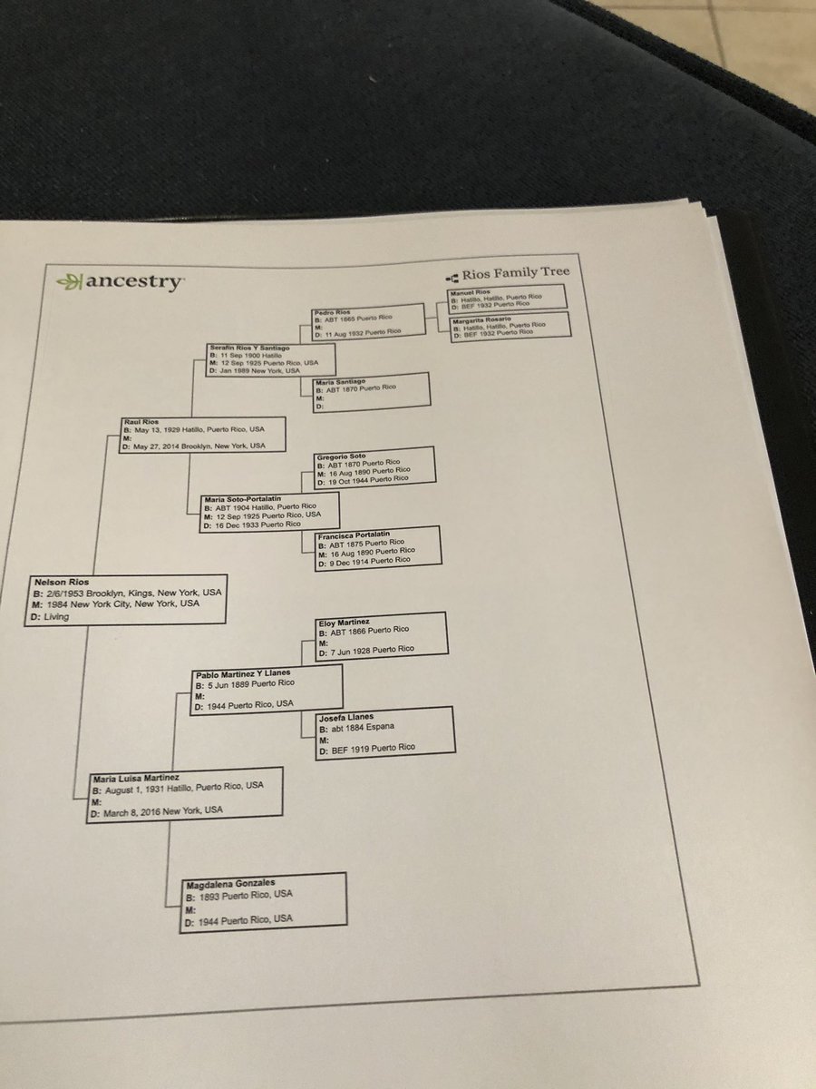 djrios0113's tweet photo. The RIOS family tree 🇪🇸🇵🇹🇵🇷 the perfect race #Taino #LaRaca https://t.co/1wsHMsqpeN