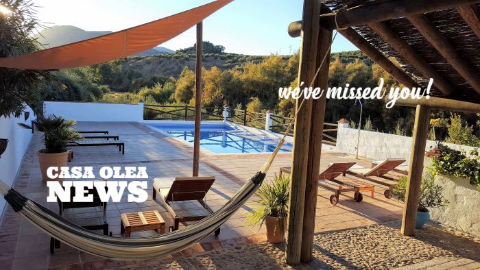 Casa Olea tweet media