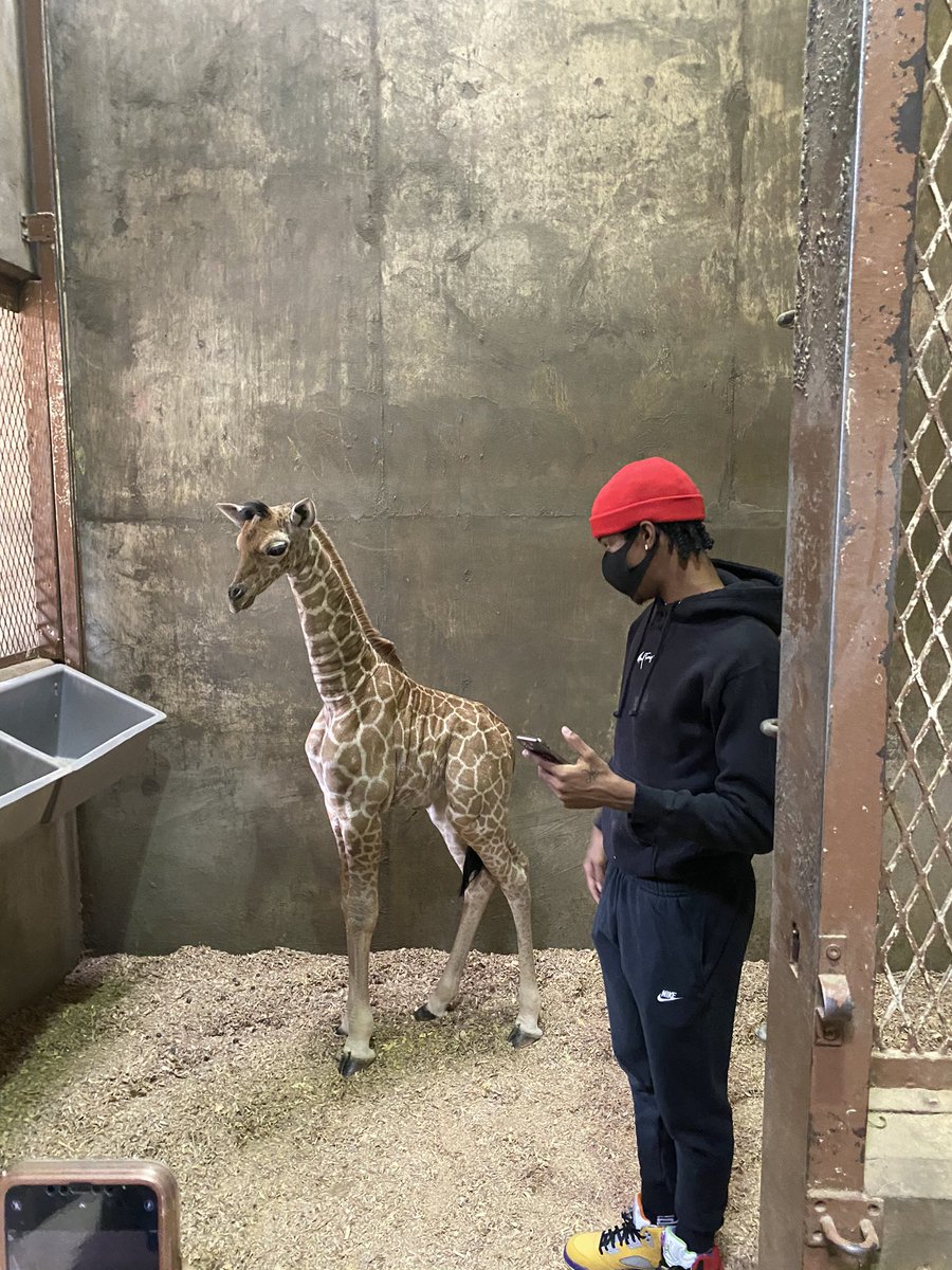 DrewHill_DM's tweet photo. Spending the morning with Ja Morant and Ja Raffe. Story coming later. https://t.co/L727pQXnWg