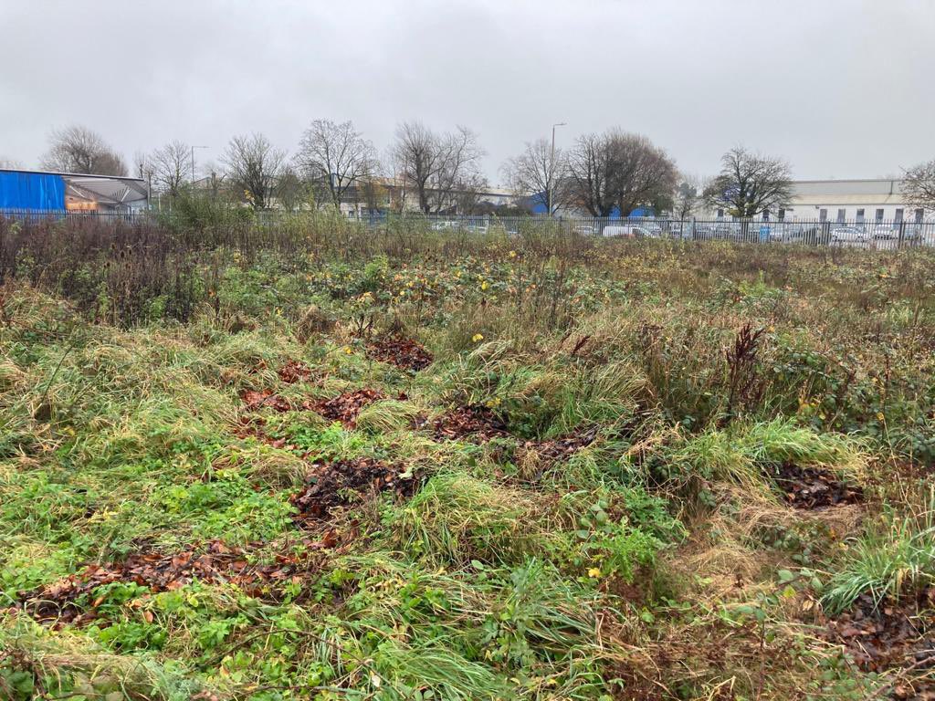 hmpriceltd's tweet photo. Site clearance completed in Bridgend this week using our Mcconnel robocut  #siteclearance  #mcconnel  #robocut  #flail @McConnelPower https://t.co/12yIjPPNvo