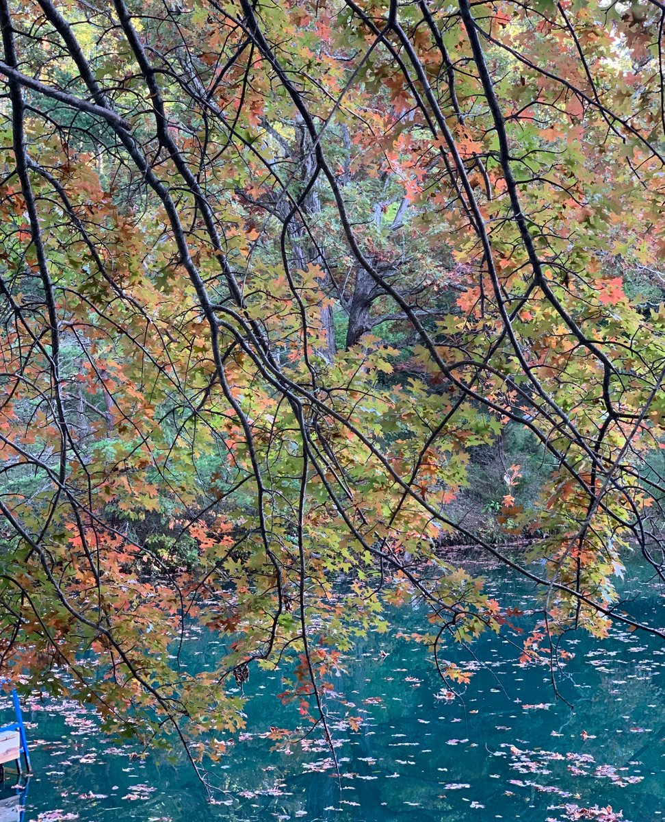 imagemaker89's tweet image. #imagemaker89 
#fortlauderdalephotographer 
#eventphotography   
#photographer 
#ftlphotographer
#localphotographer
#clay_h_wieland
#cwpinfraredimages
#claywielandphotography
#fortlauderdale