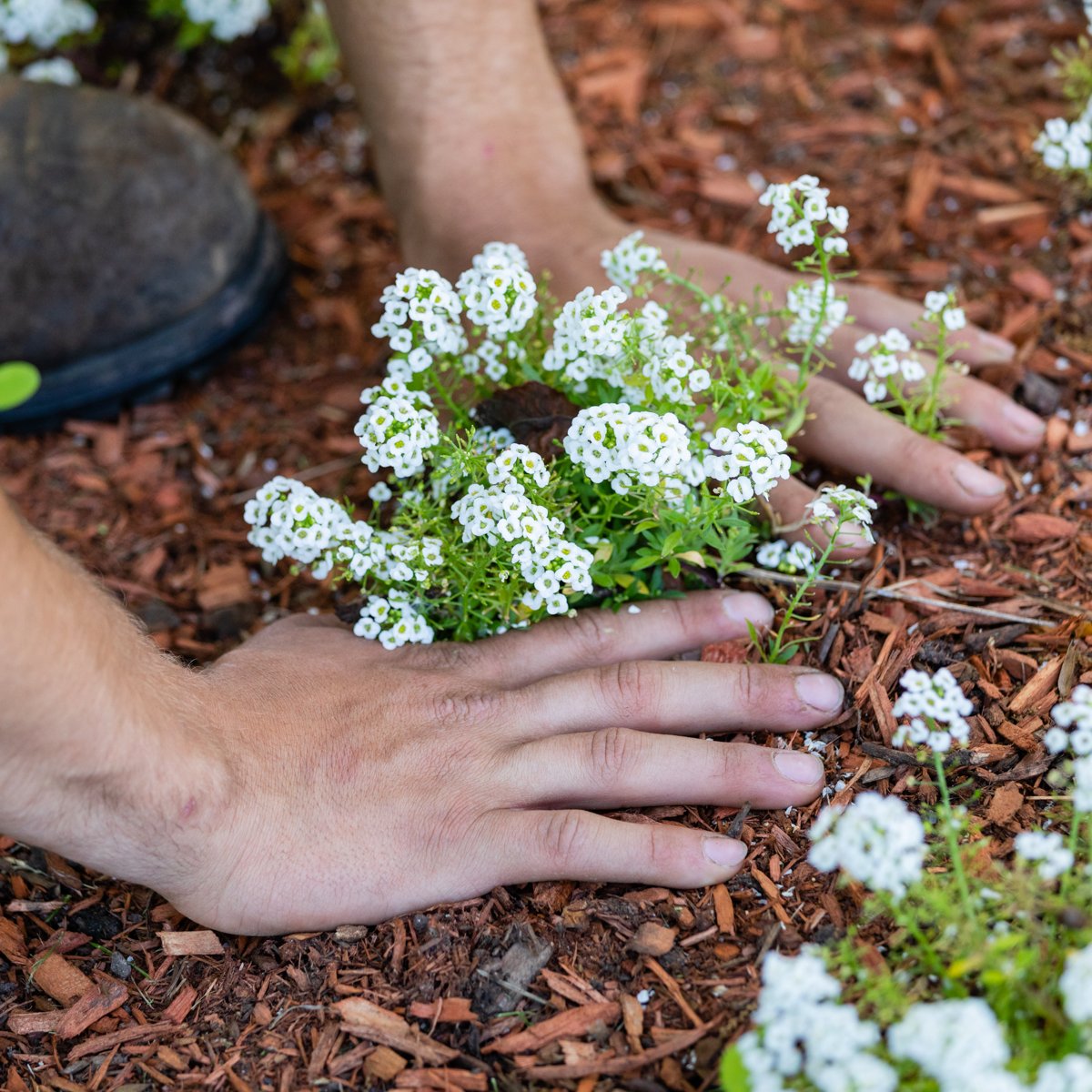 NRDlandscape's tweet photo. Behind every great landscape there's a team, and ours is always ready to lend a hand! https://t.co/gV9ATqEgNy
