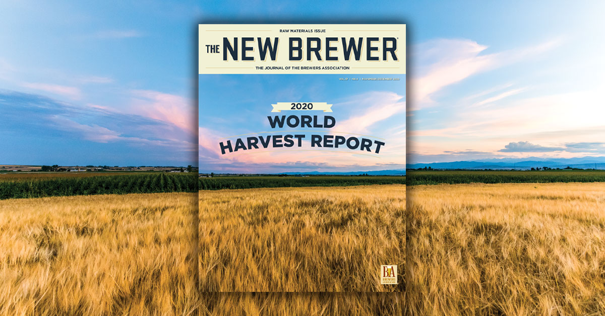 The November/December 2020 issue of The New Brewer is here! Our annual Raw Materials issue takes a closer look at the barley and hops harvests from the U.S. and around the world. bit.ly/TNB2020ND
📸 by <a href="/rootshootmalt/">Root Shoot Malting</a>