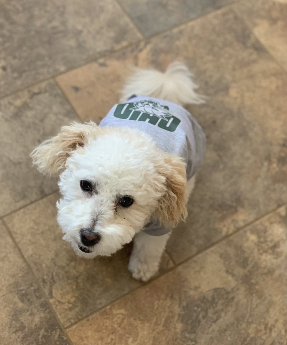 daniellegklein's tweet photo. always reppin 🐾 https://t.co/RbdF9PBc9y