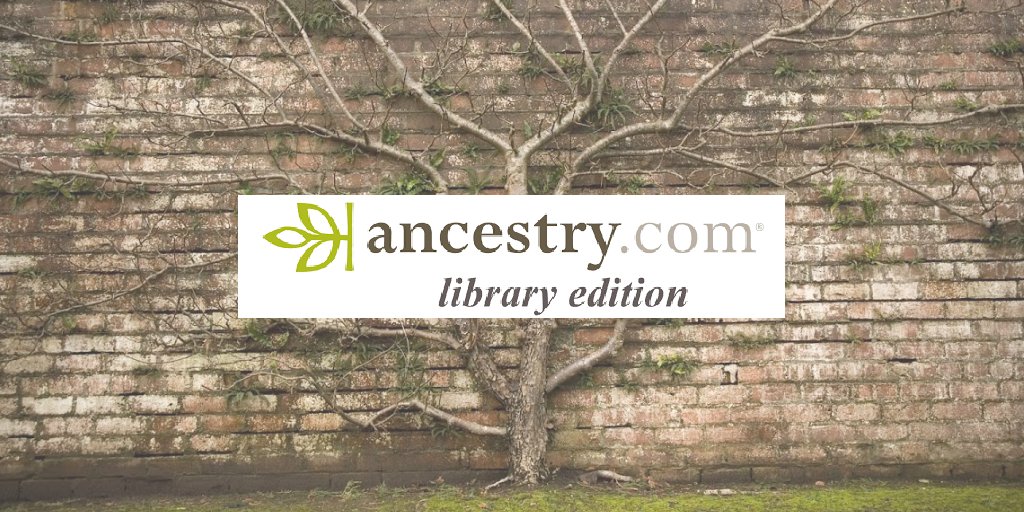 NorwalkLibCT's tweet photo. Good news! https://t.co/dPwixWTSpb library edition has extended their remote access to March 31, 2021. Access this incredible resource by logging into your library account at https://t.co/aymPmx1NSY #ancestry #libraryedition #familytree #geneology #librarylife #NPL #norwalkct https://t.co/r7lNaexAnW